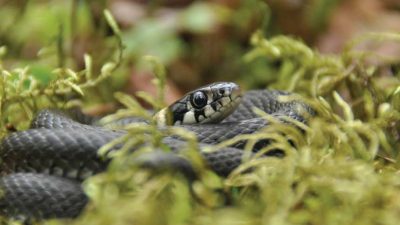 קרדיט צילום: GETTYIMAGE